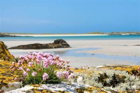 Wild Atlantic Stay Guest House Self-Catering Inverin Exterior foto